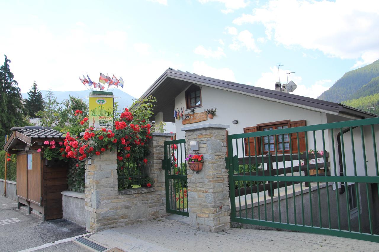 B&B Edelweiss Oulx Exteriér fotografie