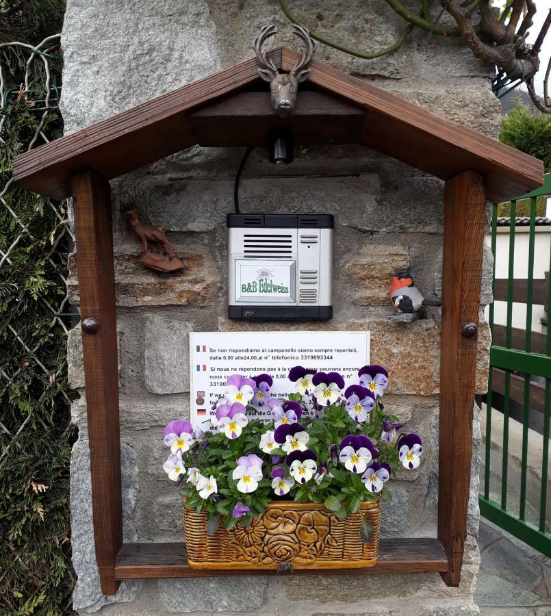 B&B Edelweiss Oulx Pokoj fotografie